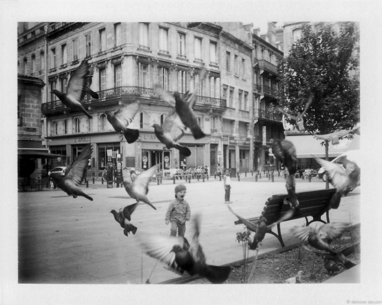 Course-Poursuite, Polaroïd 350 + FP3000B