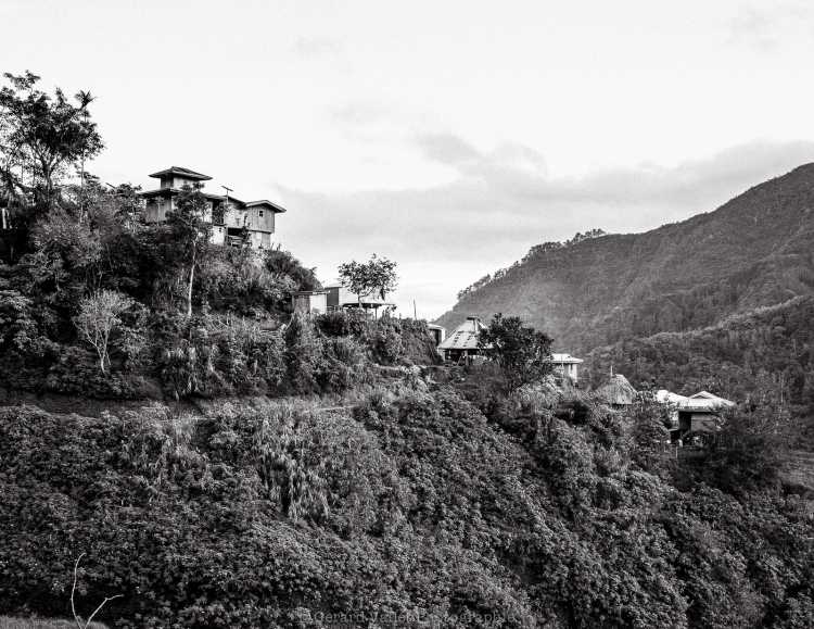 Philippines (Ifugao) Mamiya7II + Trix400