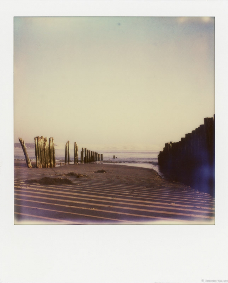 Pointe du Cap Ferret, Polaroïd SLR670 + Impossible color 600