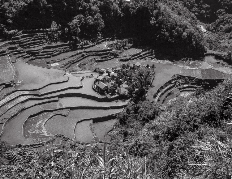 Philippines (Ifugao) Mamiya7II + Trix400