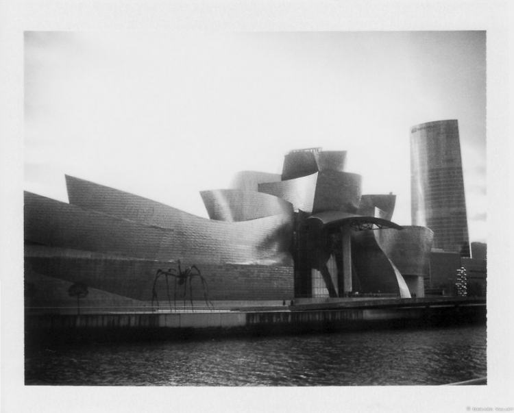 Musée Guggenheim, Bilbao, Polaroïd 350 + FP3000B