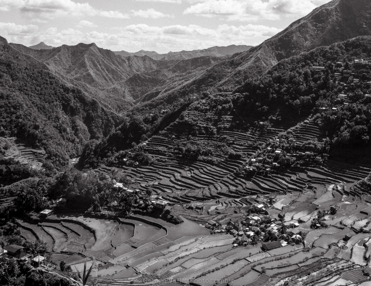 Philippines (Ifugao) Mamiya7II + Trix400