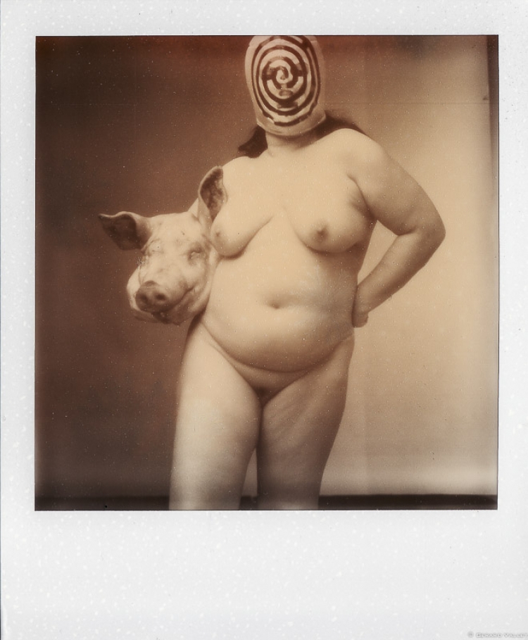 Tête de cochon catcheur, Florence, Polaroïd SX70 + Impossible color 100