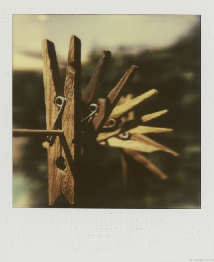 Sur le fil, Polaroïd SLR670 + Impossible color 600