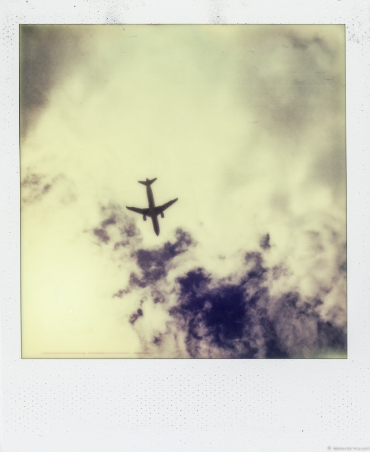 Fly away, Polaroïd SLR670 + Impossible color 600