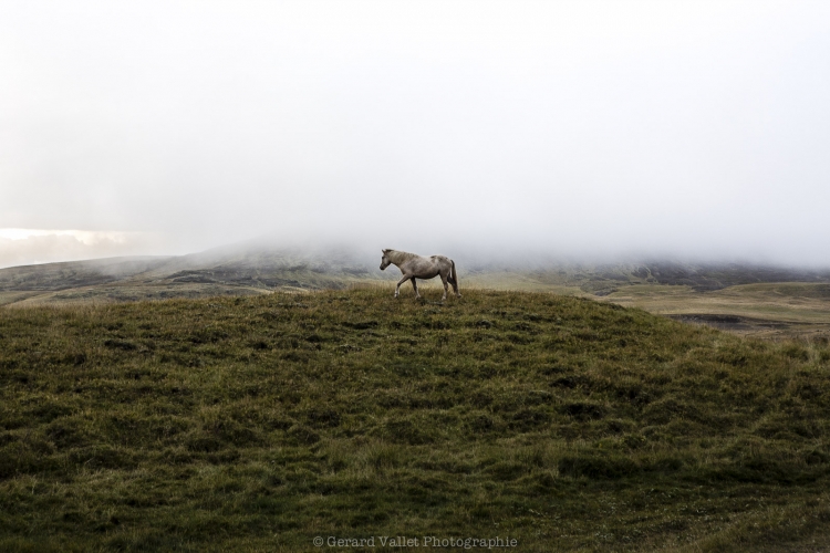 Islande - Selfoss