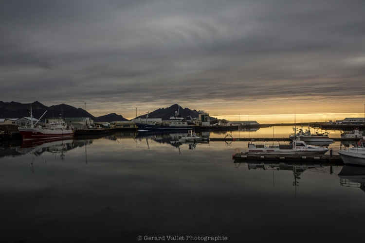 Islande - Höfn