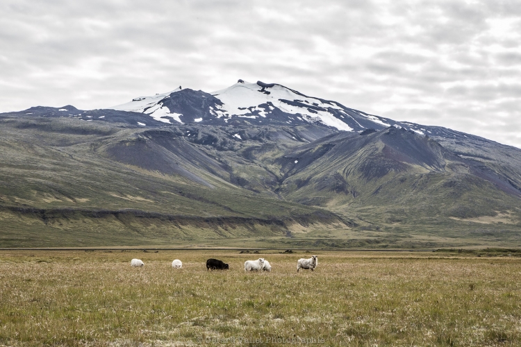 Islande - Snæfellsjökull