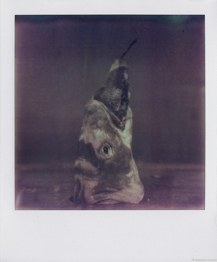 Poisson-poire, Polaroïd SX70 + Impossible color 100