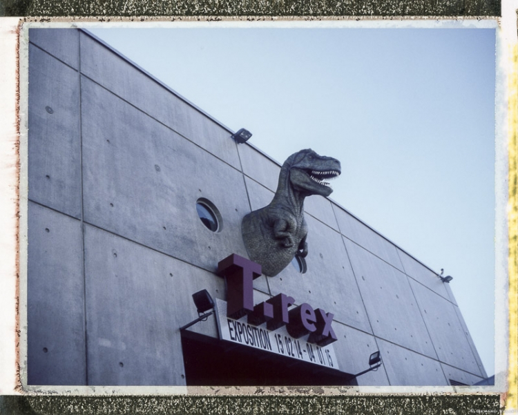 Tirex, Polaroïd 350 + FP100C